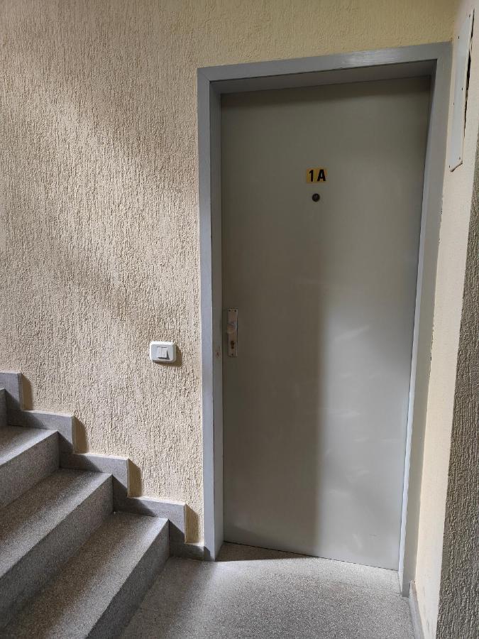 Residencial Gara Cerca Del Centro Lejlighed La Laguna  Eksteriør billede